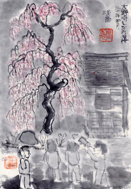 奈良県、室生口、大野寺へ桜、散り際の華を見に行く−０２、大野寺にて。