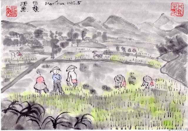 ベトナム、ハノイ、マイチャウ、モクチャウ高原の旅−４０、モクチャウの茶畑へ。
