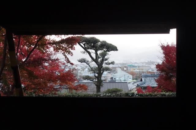 時々、京都遊、芭蕉寺、「金福寺」に名残の紅葉を見に行った。