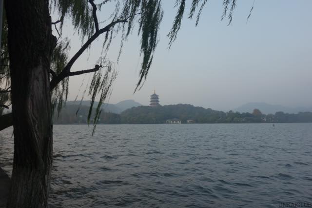 中国、廬山＆安徽、文房四宝の旅−６４、杭州市、最後の朝の散歩。