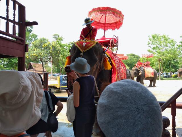 ルアンパバーン、ビエンチャン、バンコクの旅−７５、アユタヤ、象に乗る。