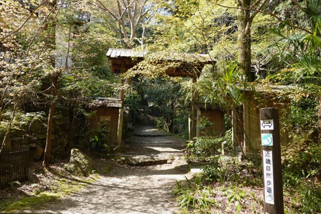 時々奈良遊、春の二上山を行く−３、当麻寺の方に下山する。