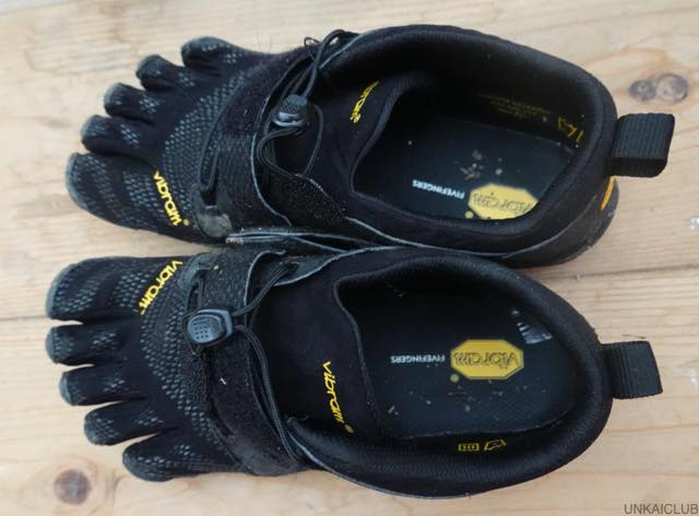 九度山暮らしのある日、手術後1年目へ、或いはコロナ怖生活−４３、5本指の靴を買った。