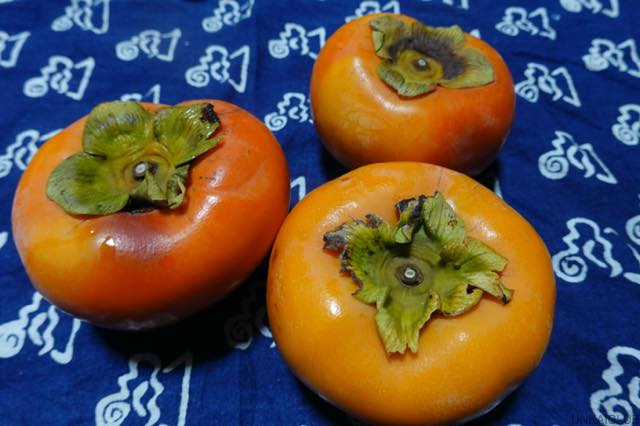 九度山暮らし、手術後1年2ヶ月目へ、或いはコロナ怖生活−６１、みかんと柿の季節がやってきた。