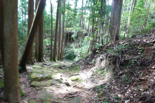 三重遊、丸山千枚田、赤木城と熊野古道の旅−２６、熊野古道、松本峠を下る。