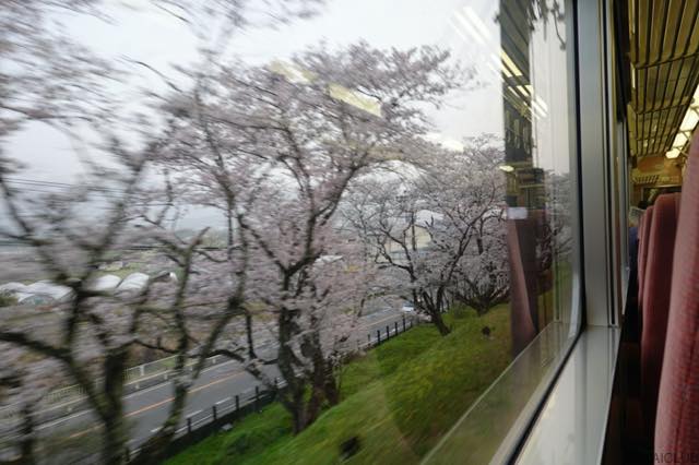 桜の季節、醍醐寺から石山寺へ、そのはずが？−０１、九度山から醍醐へ。