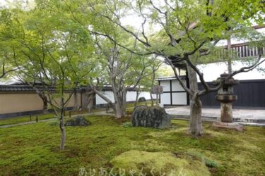 大徳寺、黄梅院へ行った話。