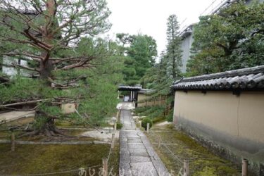 大徳寺、真珠庵に行った話。