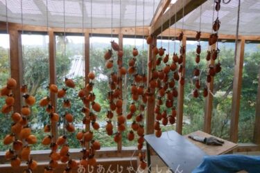 今年こそ、干し柿うまく作るぞ！