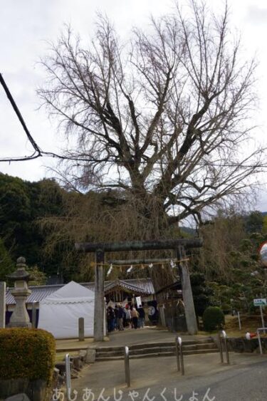 初詣に行った話。