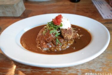 久しぶりのデラックスカレー。「太陽カレー」美味し！