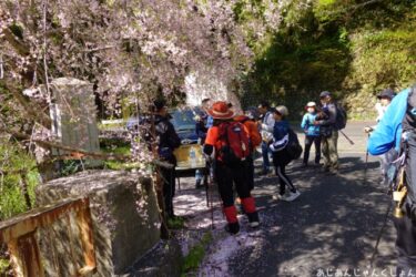 高野山参詣道、「黒河道」を下る。０６－市平で一息、二息。