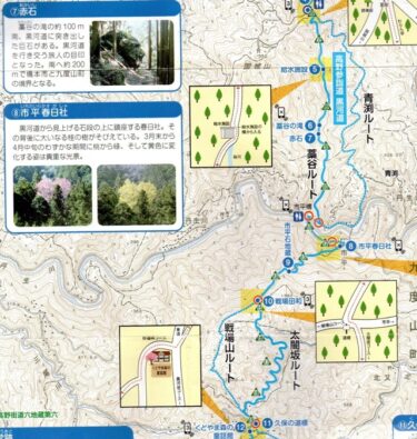 高野山参詣道、「黒河道」を下る。０５－市平まで下る。