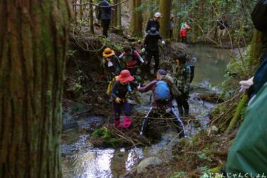 高野山参詣道、「黒河道」を下る。０７－渡渉で苦しみながら「わらん谷」を登る。