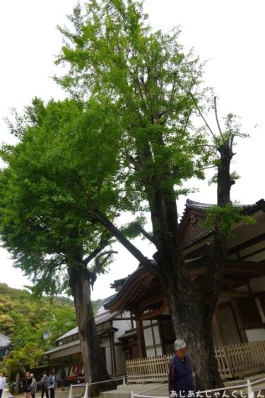 鉄斎美術館に行った話ー清荒神さんへ。