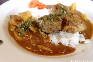 橋本市、「CoCo壱番屋」のケララチキンカレー。美味かった。