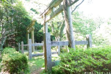 「町石道を歩く」イベントで歩いてみた。０４ー六本杉、二つ鳥居、神田地蔵堂へ。