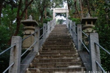 超久しぶりの中国旅行－６４。白園へ。