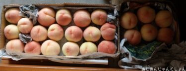 今年もまた桃の季節がやってきて、すぐに終わった。