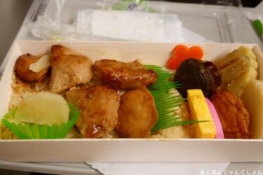 鹿児島、九州の旅ー１２、鹿児島中央駅へ。