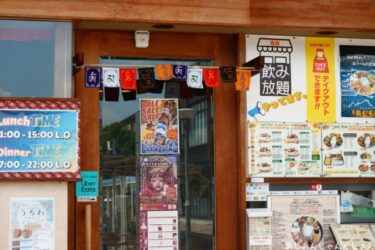南海高野線、金剛駅前のカレー屋さん、「LOVE NEPAL」でビリヤニランチ。